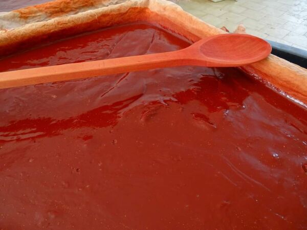 Robbia Tintoria In Polvere - Colorante Naturale 100% Per Tessuti, 500g, Colori Dal Rosa Al Rosso - Foto 3