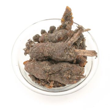 StickLac - Stocklack 100g