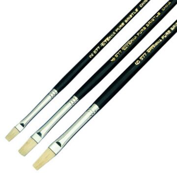 Eterna flat bristle brushes