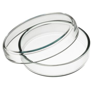 Petri dish, glass &Oslash; 80mm